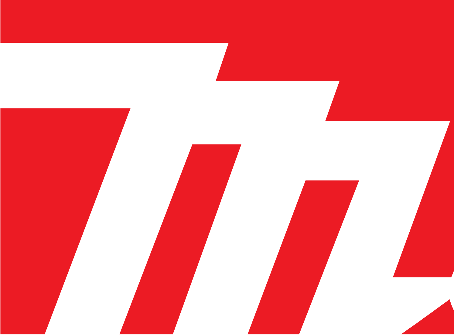 Logo Icon